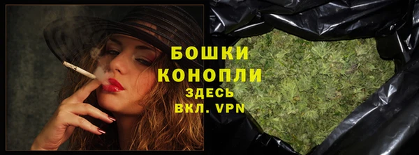 гашик Дмитровск