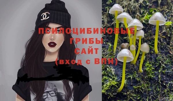 мет Елабуга