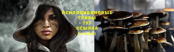 мет Елабуга