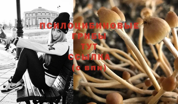 спайс Ельня