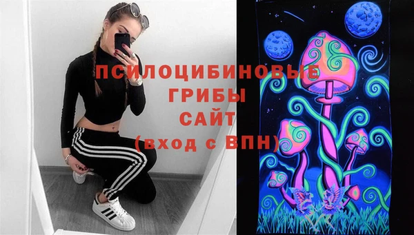 2c-b Елизово