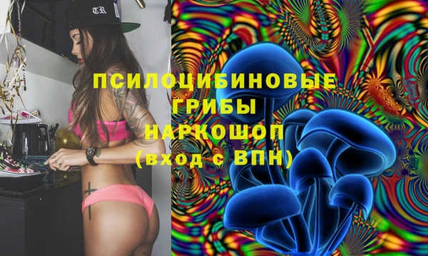 прущая мука Дмитров