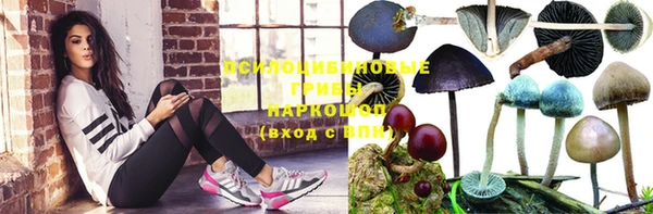 2c-b Елизово