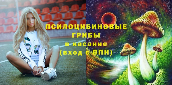 спайс Ельня