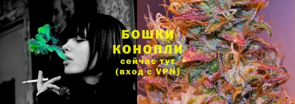 ECSTASY Гусь-Хрустальный